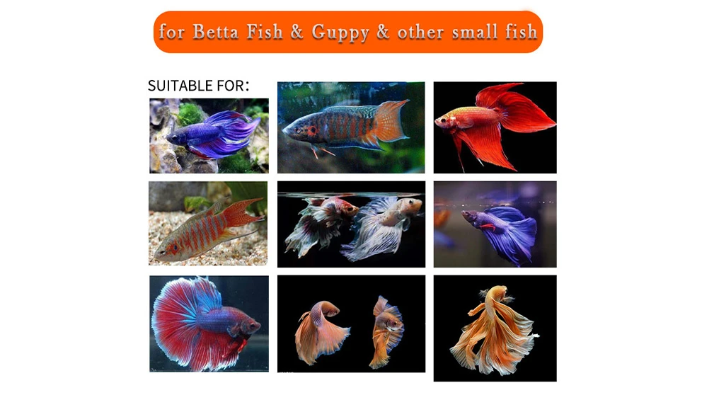 betta fish food pellets betta fish food pellets